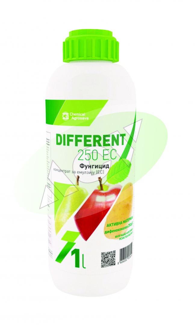 DIFFERENT 250 EC 1/1